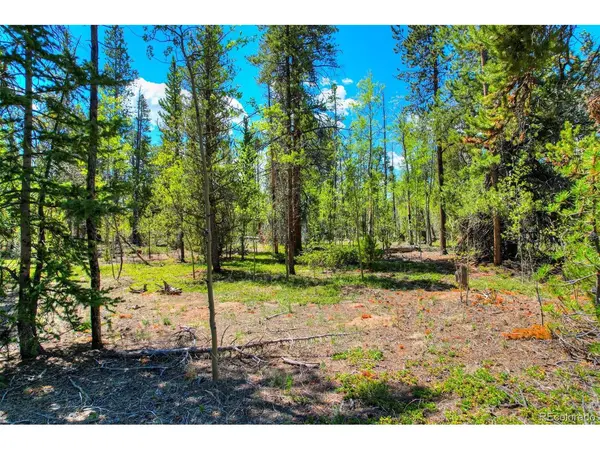 337 Busch Run, Fairplay, CO 80440