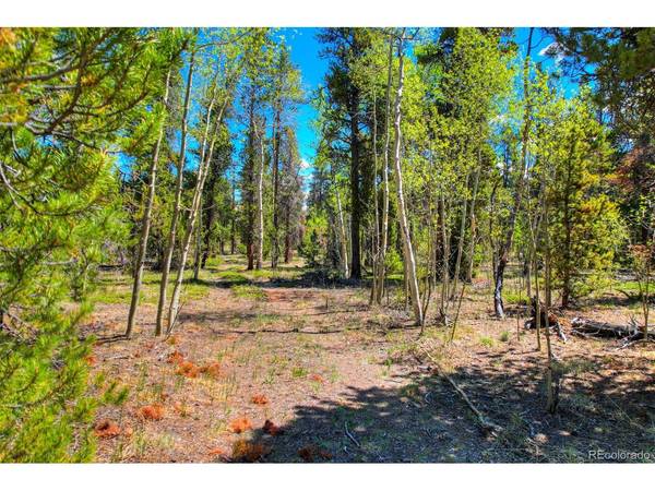 337 Busch Run, Fairplay, CO 80440