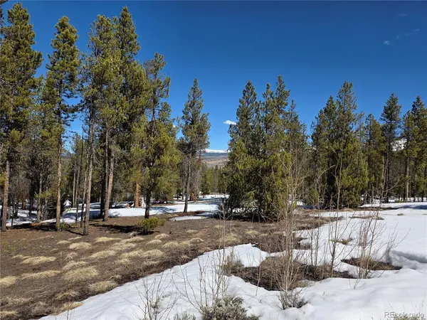 379 Lodgepole, Twin Lakes, CO 81251