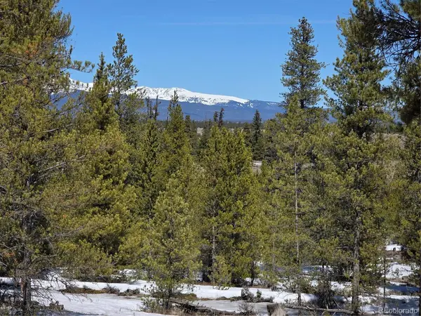 379 Lodgepole, Twin Lakes, CO 81251