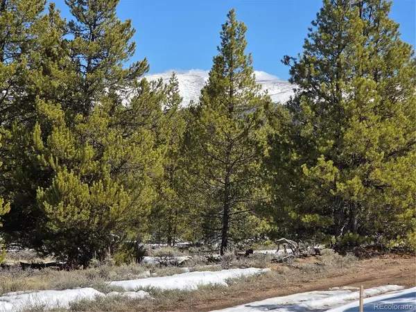 378 Ponderosa, Twin Lakes, CO 81251