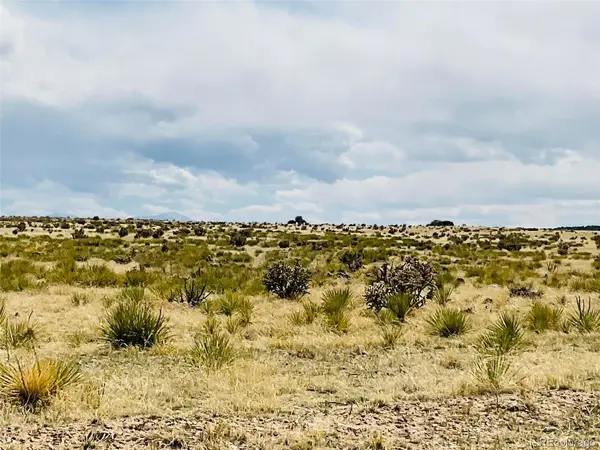 Lot 239 Turkey Ridge Ranch, Walsenburg, CO 81089