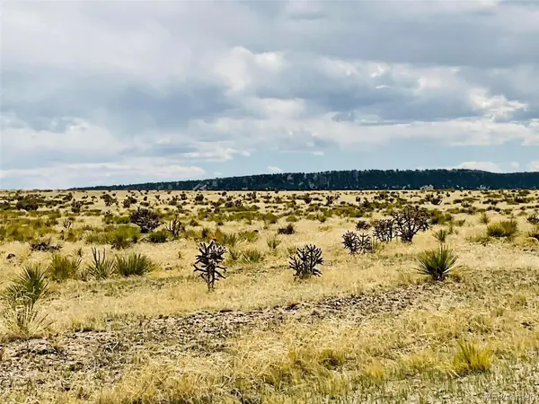 Lot 239 Turkey Ridge Ranch, Walsenburg, CO 81089