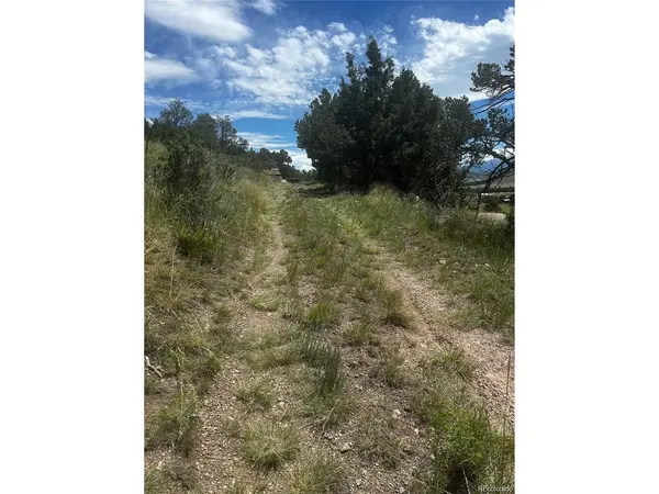 1880 Copper Gulch, Cotopaxi, CO 81223