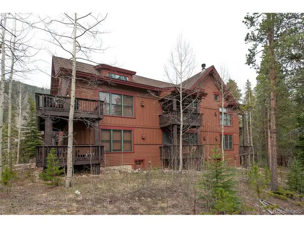 28 Trappers Crossing #8760, Dillon, CO 80435
