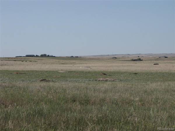 31755 Vorenberg, Calhan, CO 80808