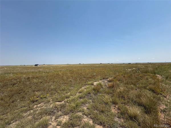 8155 Cowboy Ranch, Peyton, CO 80831
