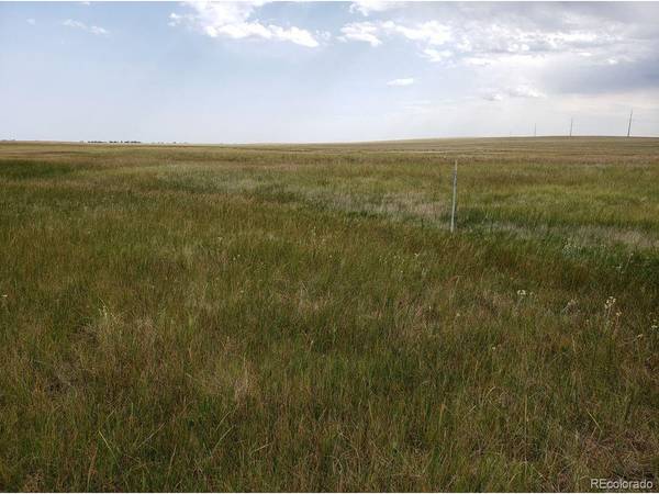 8155 Cowboy Ranch, Peyton, CO 80831