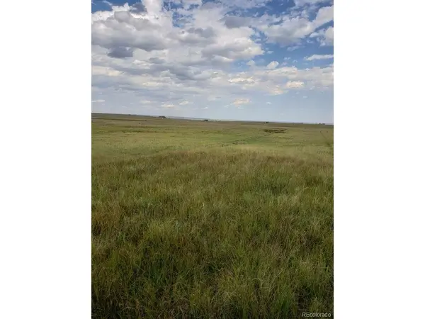 8155 Cowboy Ranch, Peyton, CO 80831