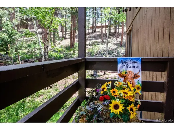 560 Manor, Woodland Park, CO 80863