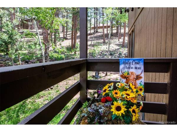 560 Manor, Woodland Park, CO 80863