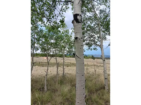 258 Puma, Jefferson, CO 80456