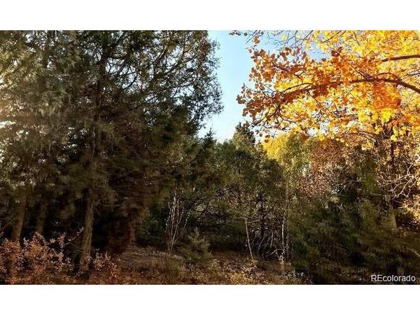 233 Lake Of The Falls, Mosca, CO 81146