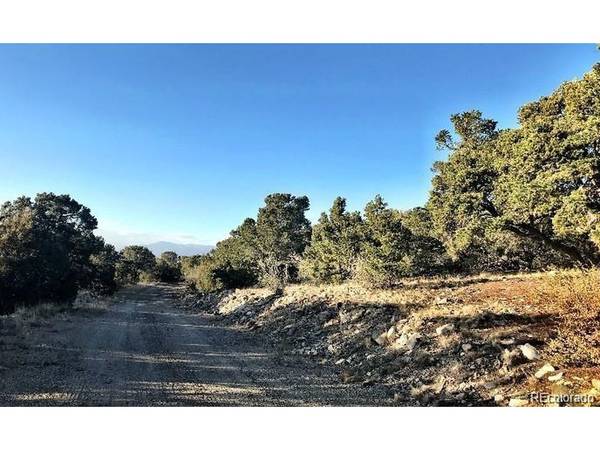 233 Lake Of The Falls, Mosca, CO 81146