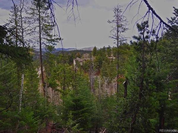 10136 Crest View, Morrison, CO 80465