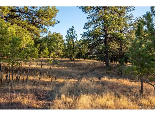 Woodhaven Ridge, Parker, CO 80134