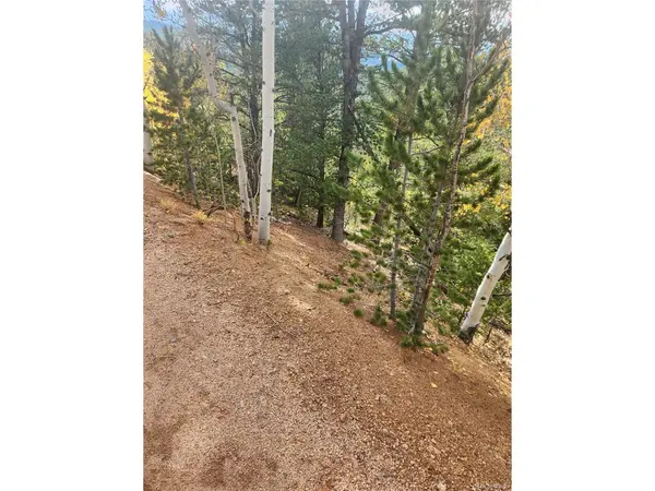 72 Hall, Bailey, CO 80421