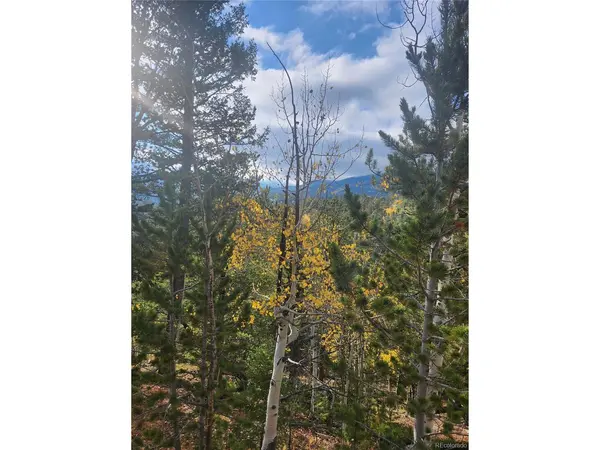 72 Hall, Bailey, CO 80421