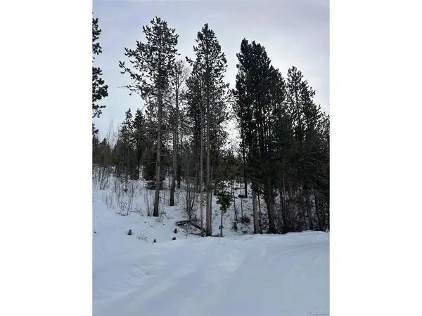 114 Mustang, Grand Lake, CO 80447