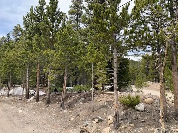 1090 Alice, Idaho Springs, CO 80452