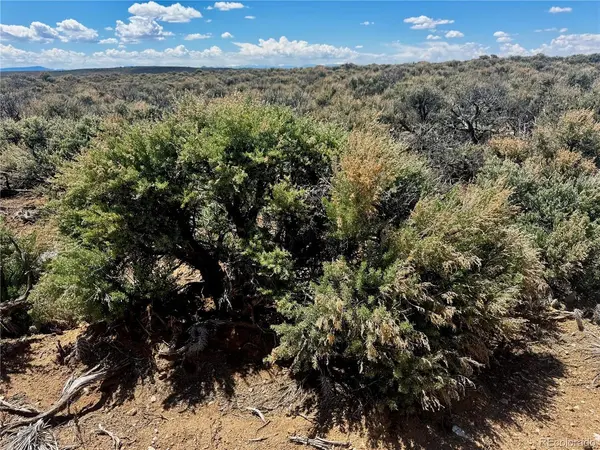 3 East Jasper, San Luis, CO 81152