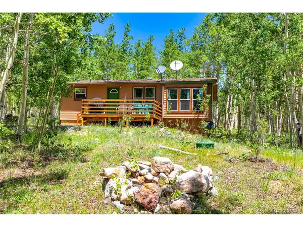 2346 High Creek, Fairplay, CO 80440