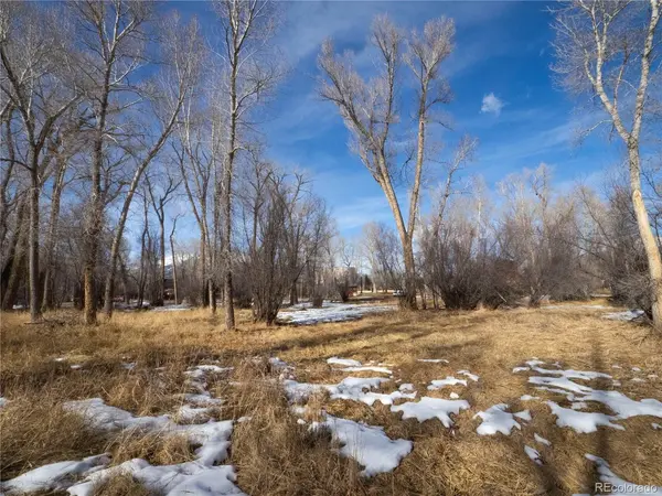 Tee, Buena Vista, CO 81211