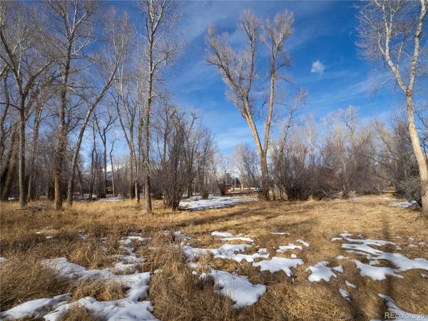 Tee, Buena Vista, CO 81211