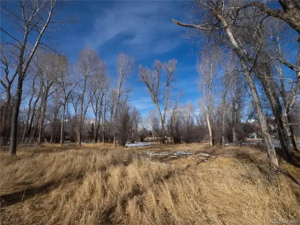 Tee, Buena Vista, CO 81211