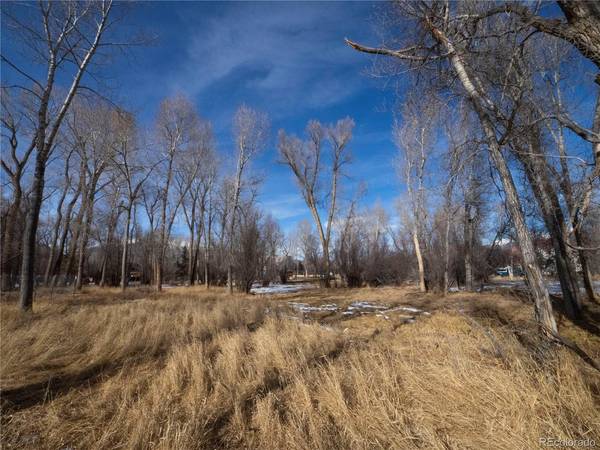 Tee, Buena Vista, CO 81211