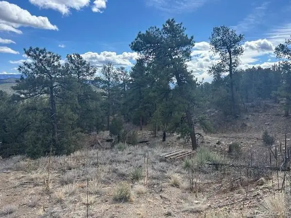 143 Ive, Cotopaxi, CO 81223