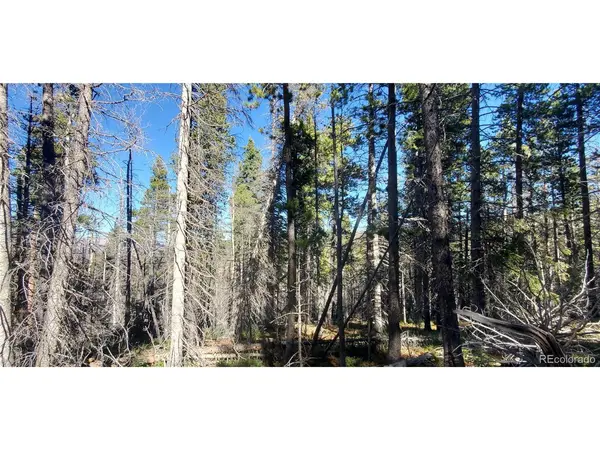 2999 Drexler, Fort Garland, CO 81133