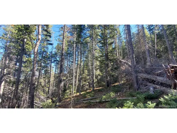 2999 Drexler, Fort Garland, CO 81133