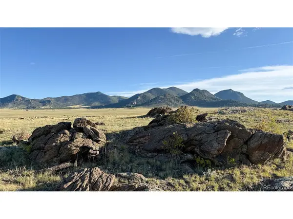 Address not disclosed, Lake George, CO 80827
