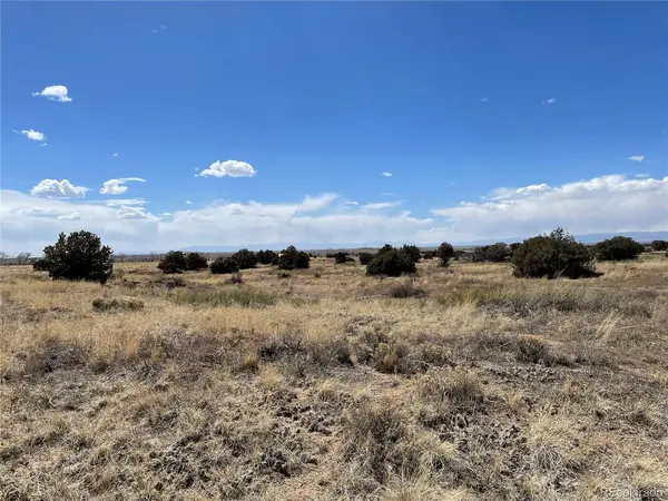 1307 Spanish Creek, Crestone, CO 81131