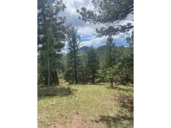 216 Troy, Cripple Creek, CO 80813