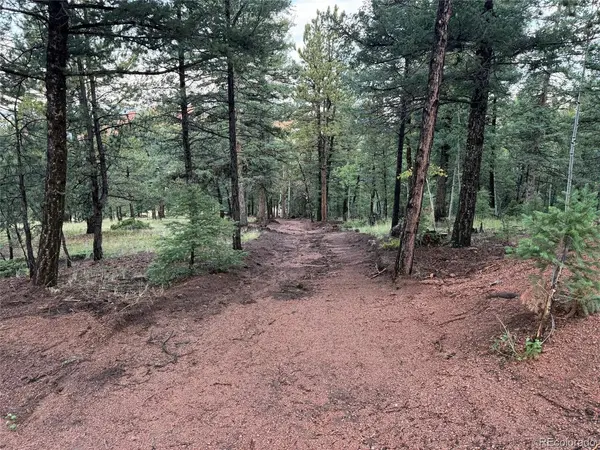216 Troy, Cripple Creek, CO 80813