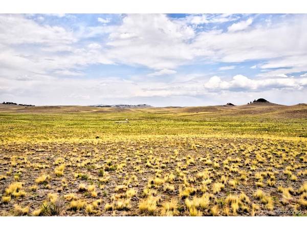 0 Lenape, Hartsel, CO 80449