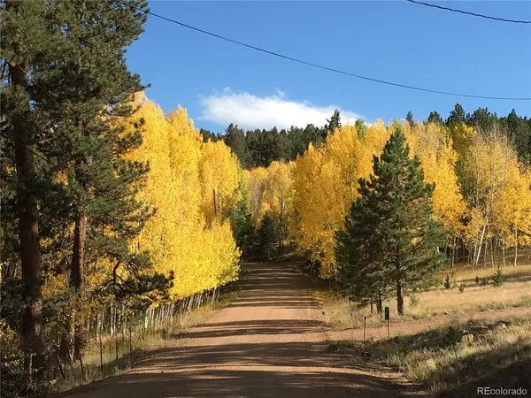 20 Echo Lake, Florissant, CO 80827