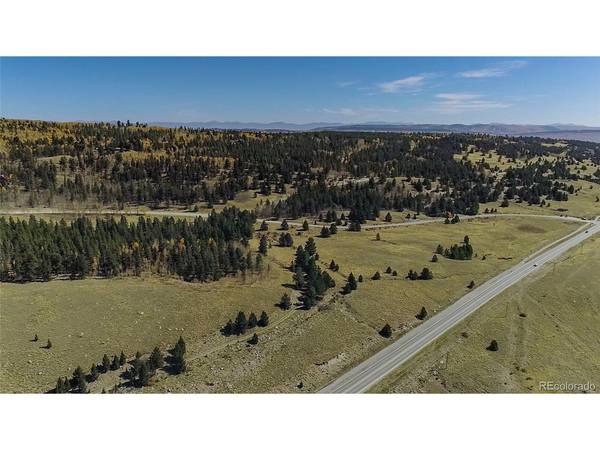 45 Platte River, Fairplay, CO 80440