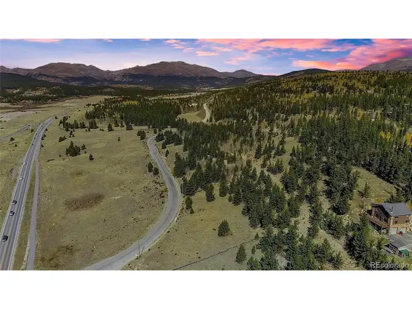 45 Platte River, Fairplay, CO 80440