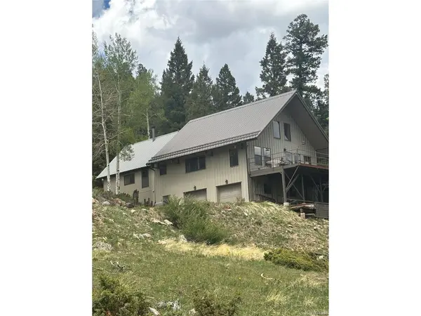 1113 Spring, Jasper, CO 81144