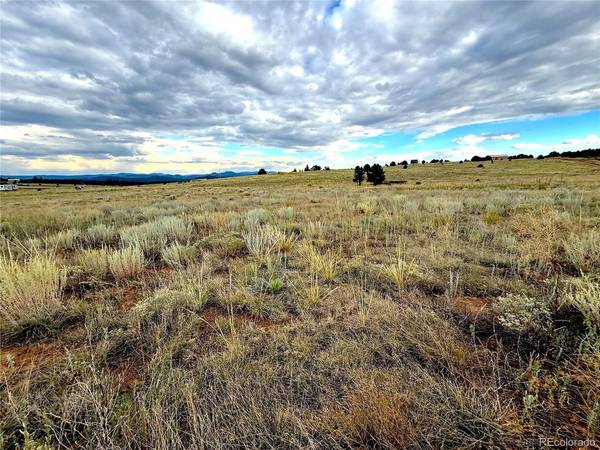 TBD #2, 23rd Trail, Cotopaxi, CO 81223