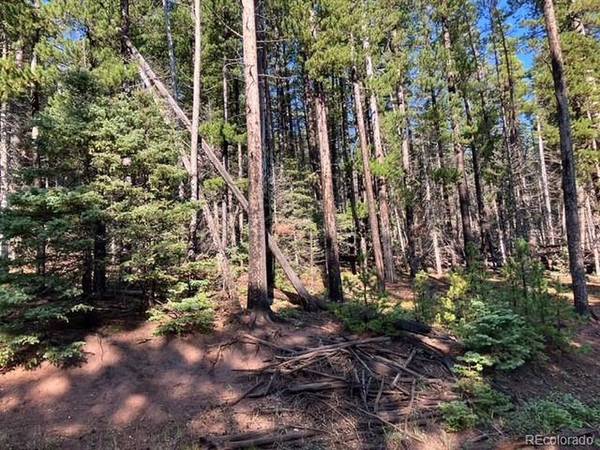 3427 Grojean, Fort Garland, CO 81133