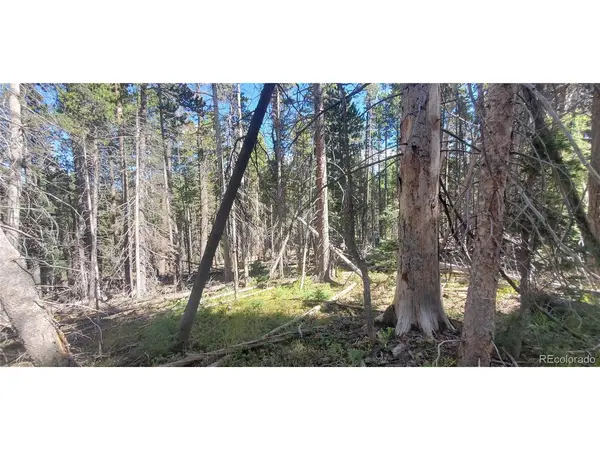 3427 Grojean, Fort Garland, CO 81133