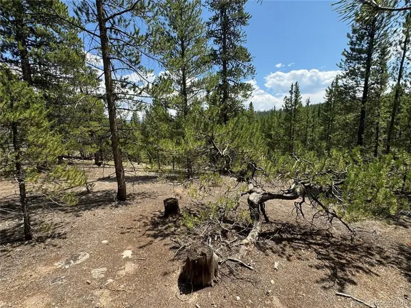 218 Aspen, Leadville, CO 80461