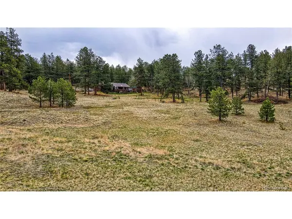 188 High Pasture, Florissant, CO 80816