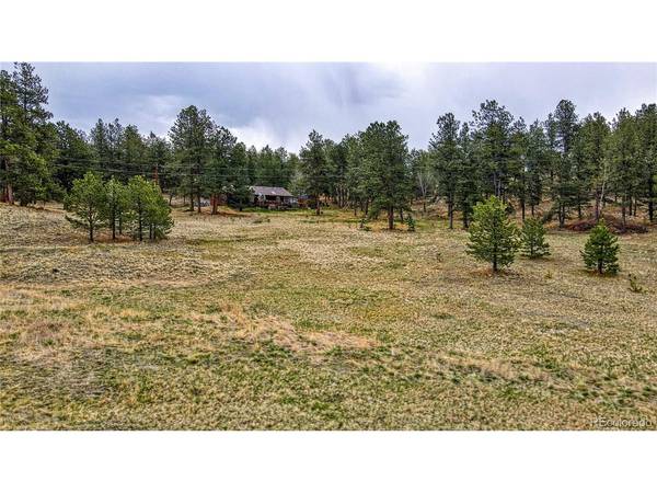 188 High Pasture, Florissant, CO 80816