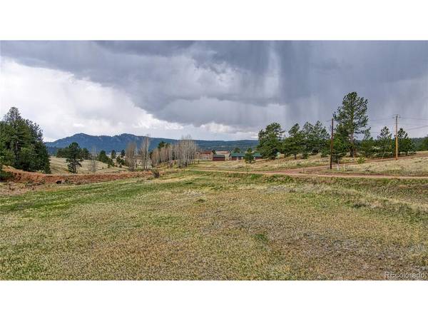 188 High Pasture, Florissant, CO 80816