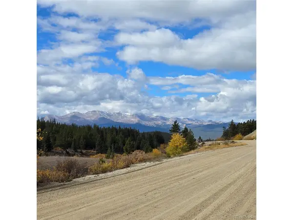 5347 Monitor Lode Claims, Leadville, CO 80461
